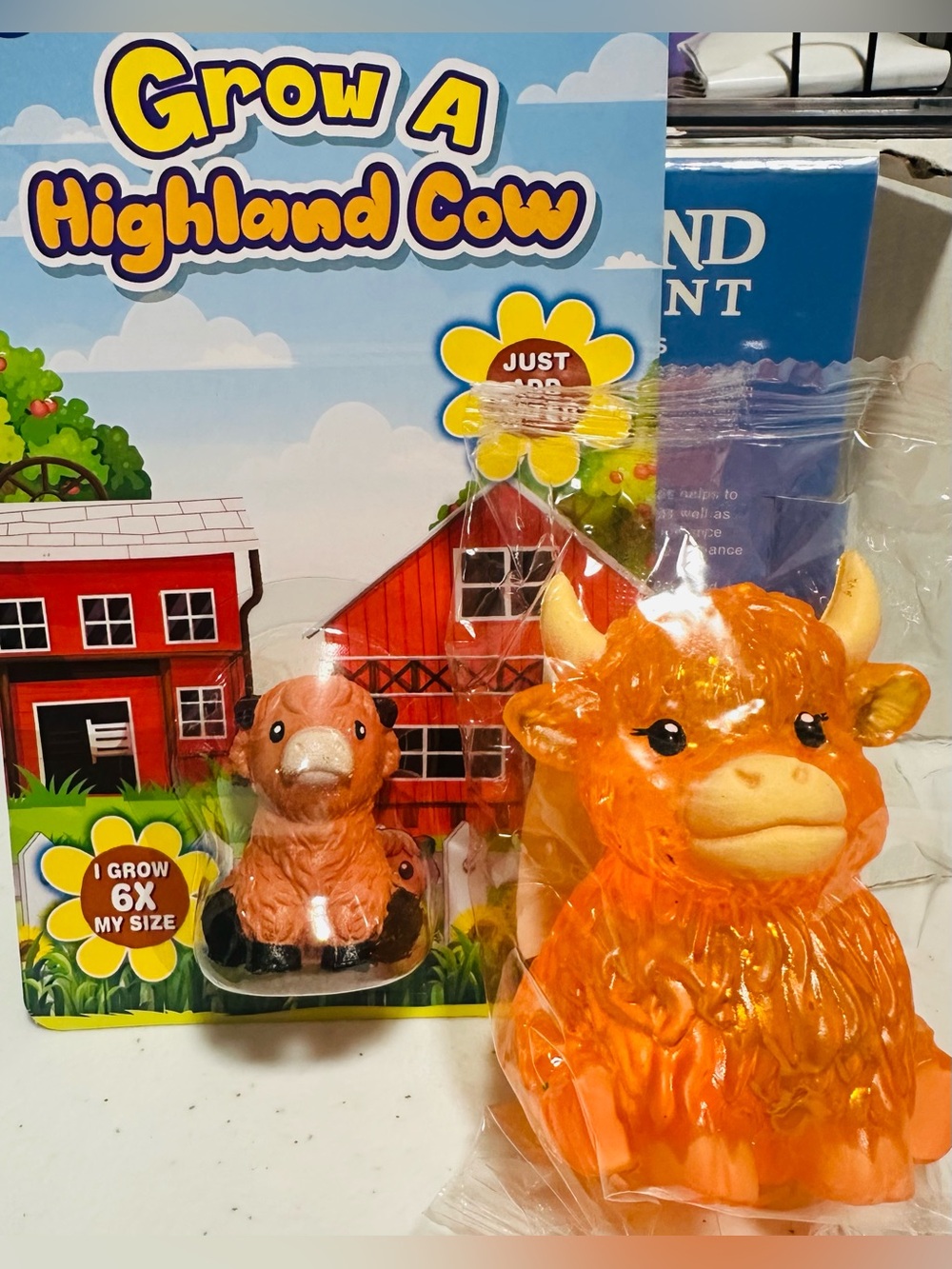 Grow A Highland Cow Kids Toy and Squishy Highland Cow!!!!